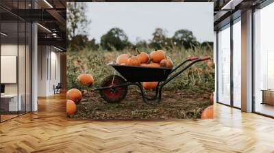 Halloween pumpkins in a wheelbarrow dark autumn mood Wall mural