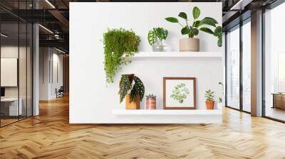 Home decor indoor plant shelf Wall mural