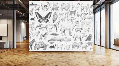 illustration drawing style of animal collection Wall mural