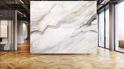 Marble texture white backgrounds abstract textured. Wall mural