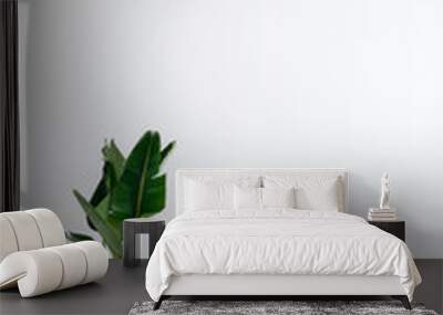 Modern light colored sofa Wall mural