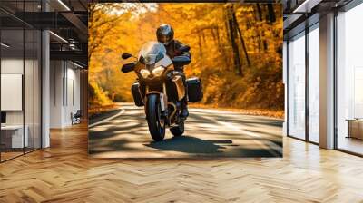 Motorcycle vehicle helmet autumn. Wall mural