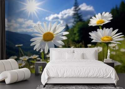 Nature daisy sky landscape.  Wall mural