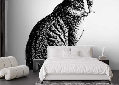 Pet cat vintage drawing Wall mural