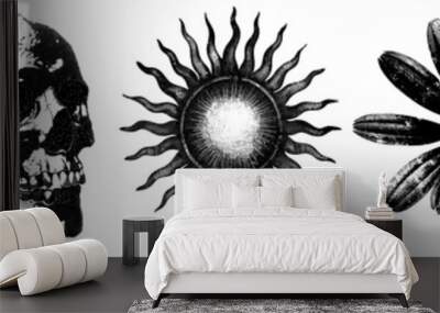 Photocopy lifestyle png cut out element set Wall mural