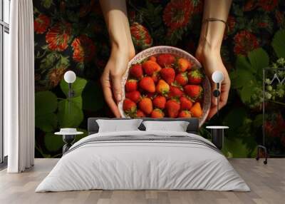 Picking fruit strawberry berries female. Wall mural