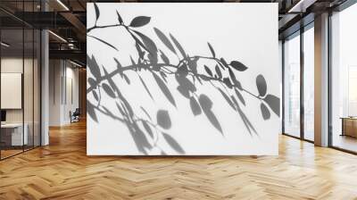 PNG *a photo of shadow of leaves*, no leaves, on solid white background, clean and simple --v 6.0 --ar 3:2 Wall mural