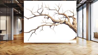 PNG A Dry branch tree drawing nature sketch Wall mural