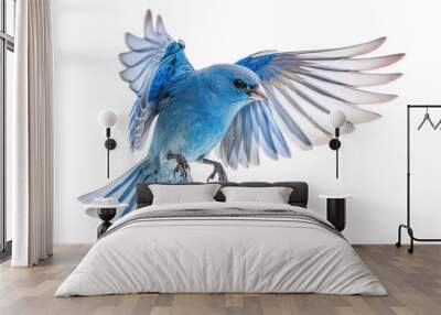 PNG A photo of blue Finche flying bluebird animal jay. Wall mural