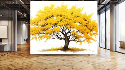 PNG A Ratchaphruek tree is blooming bright yellow blossom flower plant. Wall mural