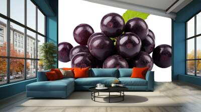 PNG Acai berry grapes fruit plant. Wall mural