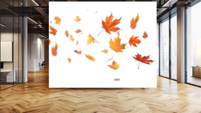 PNG Autumn leaves backgrounds maple plant. Wall mural