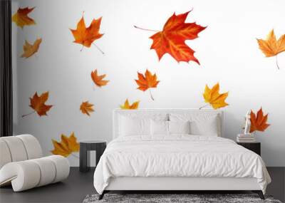 PNG Autumn leaves on white background Wall mural