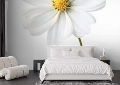 PNG Beautiful white flower wallpaper blossom petal plant. Wall mural