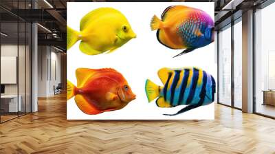 PNG colorful sea fish design element set, transparent background Wall mural