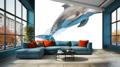 PNG Dolphin animal mammal fish. Wall mural