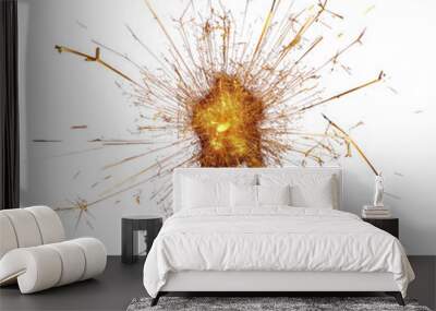 PNG Firework burst fireworks backgrounds outdoors. Wall mural