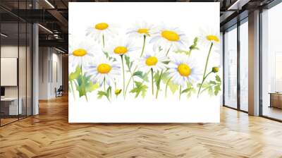 PNG Flower daisy plant white. Wall mural