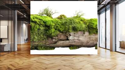 PNG Fresh green moss on rotten trunk plant tree outdoors Wall mural