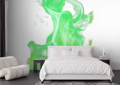 PNG Green flame accessories accessory person. Wall mural