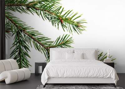 PNG Green pine branch on white Wall mural