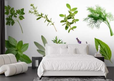 PNG green plant herbs leaf  cut out element set Wall mural