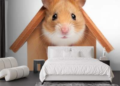 PNG Hamster animal mammal rodent. Wall mural