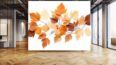 PNG Leaves plant leaf tree. Wall mural