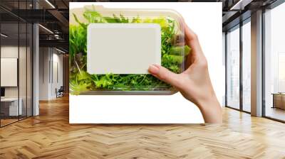 PNG Lunchbox packaging food produce cooking. Wall mural