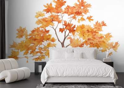 PNG Maple plant tree leaf. Wall mural