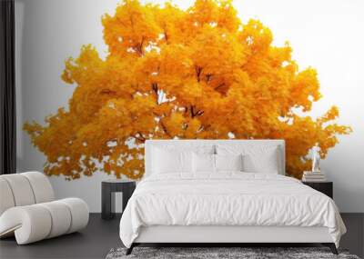 PNG Maple tree plant leaf. Wall mural