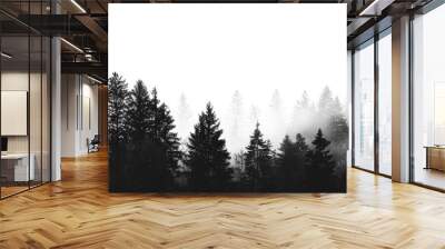 PNG Misty forest trees in fog Wall mural