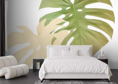 PNG Monstera leaves flower ripped paper blossom diaper plant. Wall mural