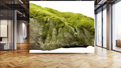 PNG Moss green on rock moss reptile animal. Wall mural