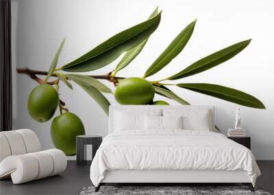 PNG Olive branch fruit plant food. Wall mural