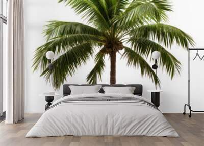 PNG Palm plant tree white background. Wall mural