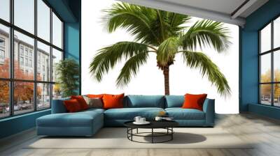 PNG Palm tree plant white background tranquility. Wall mural