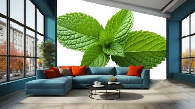 PNG Peppermint leaf plant herbs spearmint. Wall mural