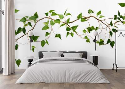 PNG Plant leaf freshness branch. Wall mural