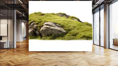 PNG Rocky grass hill landscape nature grassland Wall mural