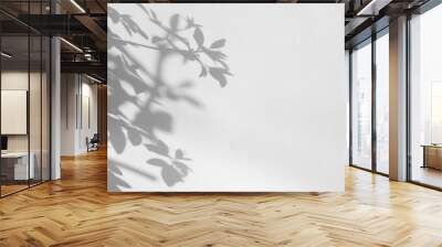 PNG  Shadow leaves minimalist white background Wall mural