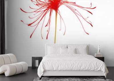 PNG Spider lily flower petal plant. Wall mural