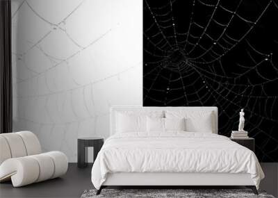 PNG Spiderwebs in contrasting backgrounds Wall mural