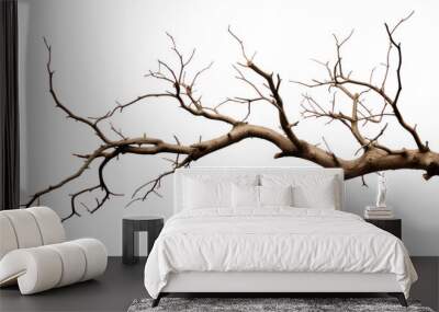 PNG Tree branch plant transparent background.  Wall mural