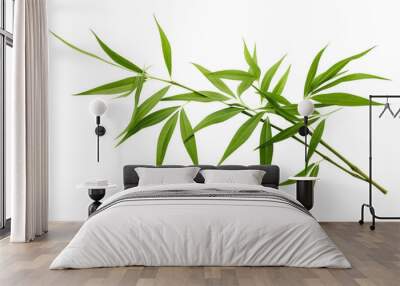 PNG Tropical bamboo leaves plant herbs leaf. Wall mural