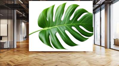 PNG Tropical leaf plant xanthosoma freshness. Wall mural