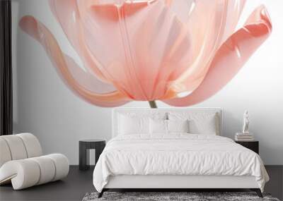 PNG Tulip flower petal plant white. Wall mural