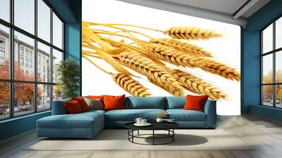 PNG Wheat ears food agriculture triticale. Wall mural