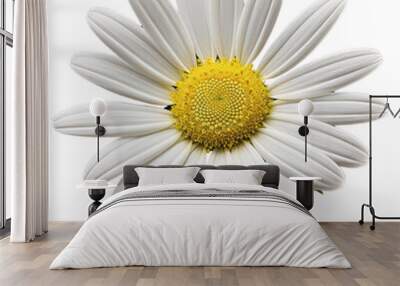 PNG White daisy blossom flower petal. Wall mural