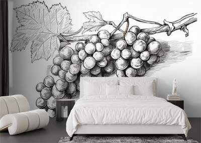 PNG  Wine and grapes drawing sketch plant. Wall mural